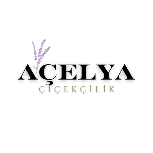 Açelya Çiçekçilik